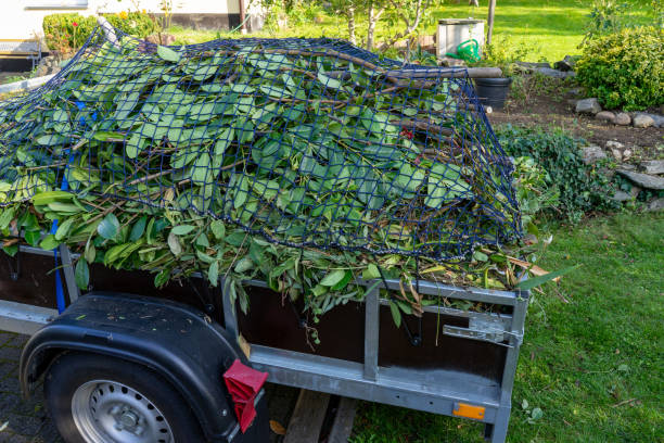 Best Recycling Services for Junk  in Fridley, MN